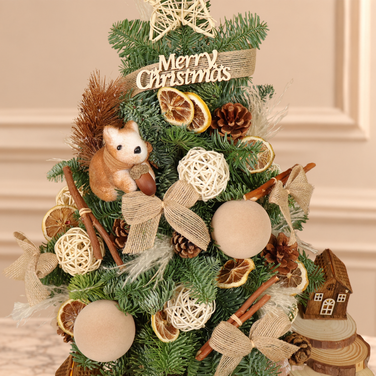 Woodsmoke Pine - Fresh Mini Christmas Tree