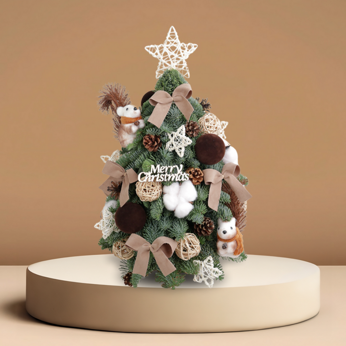 Woodsy Wishes - Fresh Mini Christmas Tree