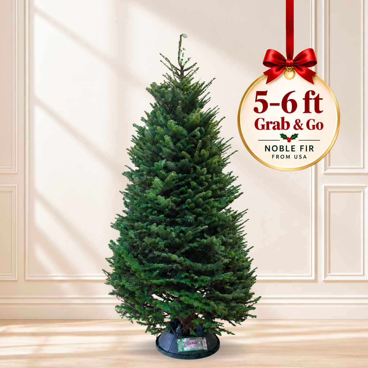 Noble Fir Christmas Tree 5-6FT (USA Grab & Go)