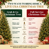 Noble Fir Christmas Tree 5-6FT (USA Grab & Go)