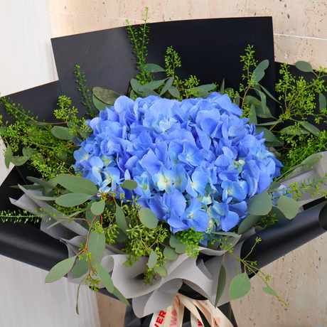 Zarina (1 Hydrangea) - Flower Bouquet