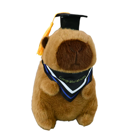Capybara Graduation Bear