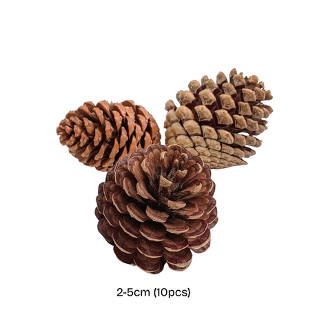 Pinecone (Natural)