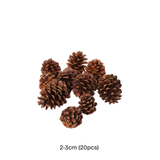 Pinecone (Natural)