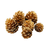 Pinecone Packet (6pcs)
