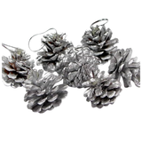 Pinecone Packet (6pcs)
