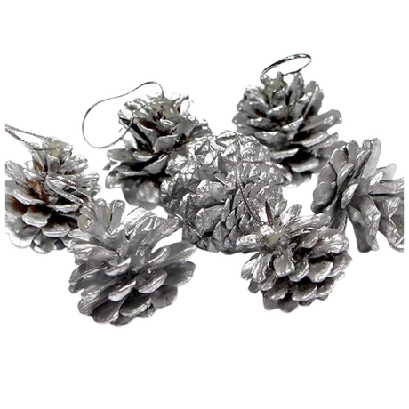 Pinecone Packet (6pcs)