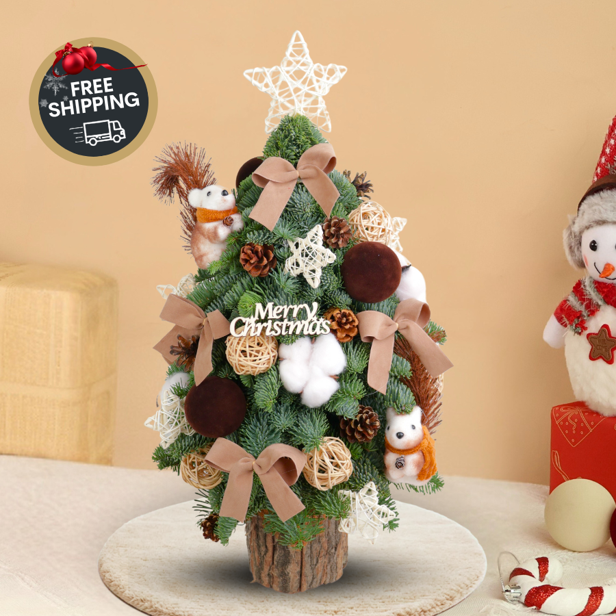 Woodsy Wishes - Fresh Mini Christmas Tree