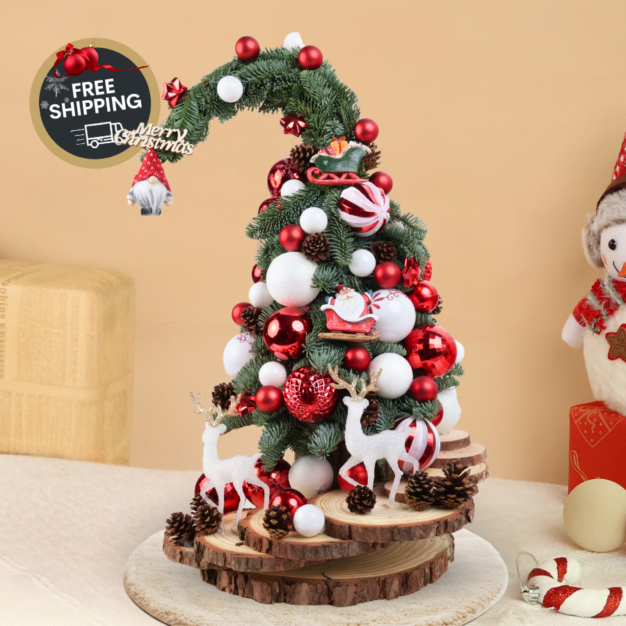 Winter Magic - Fresh Mini Christmas Tree