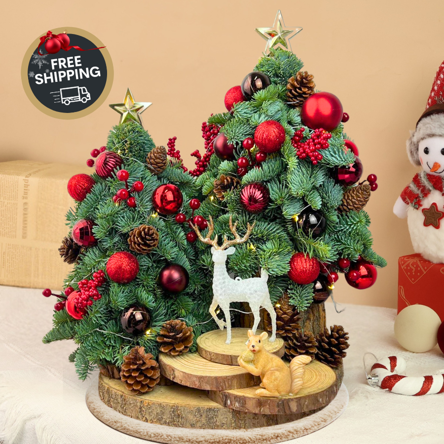 Merry Maple - Fresh Mini Christmas Tree