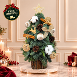 Barnwood Beauty - Fresh Mini Christmas Tree