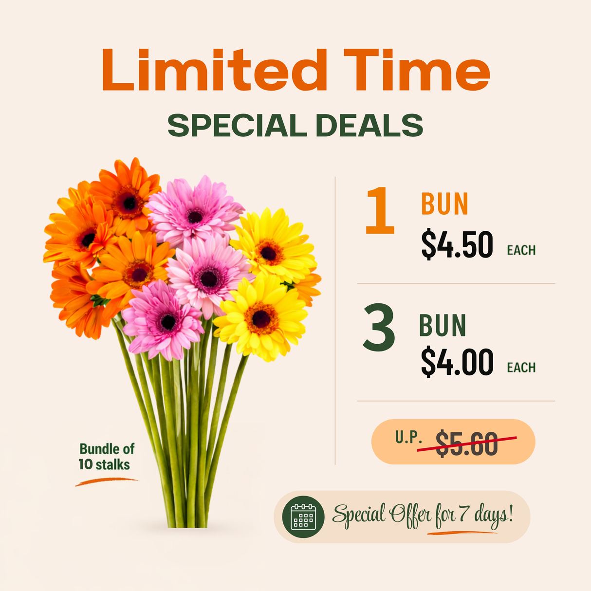 Gerbera (Malaysia) *Promotion*