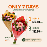 Mix Flower Bunch *Promotion*