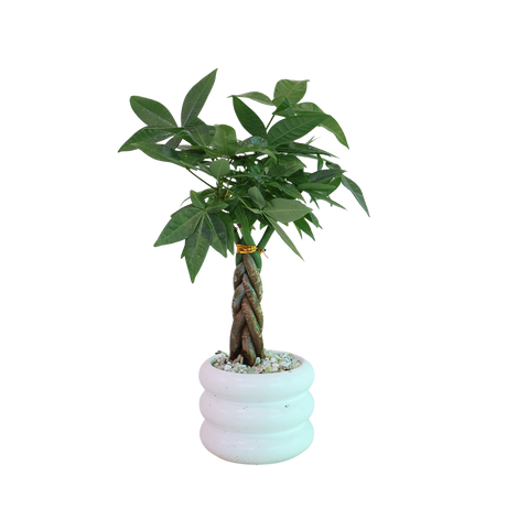 Yellow artificial flower bouquet with petals.