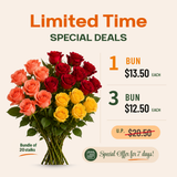 Rose (Malaysia) *Promotion*
