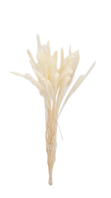 Dry-typha candle