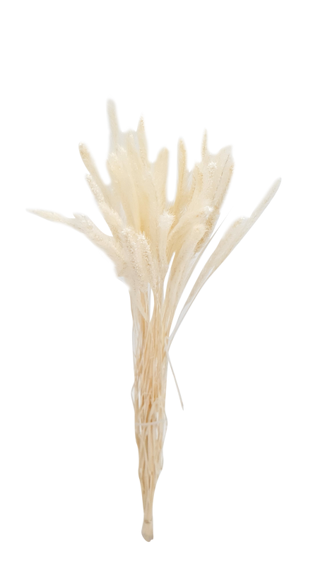 Dry-typha candle