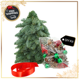 DIY Kit - Fresh Mini Christmas Tree