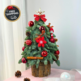 Crimson Claus - Fresh Mini Christmas Tree
