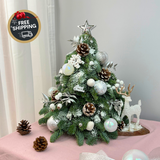 Evergreen Eve - Fresh Mini Christmas Tree