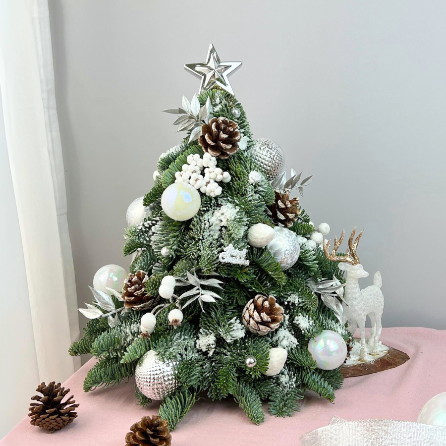 Evergreen Eve - Fresh Mini Christmas Tree