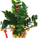 flourishing-year Chinese New Year Flower Arrangement Singapore