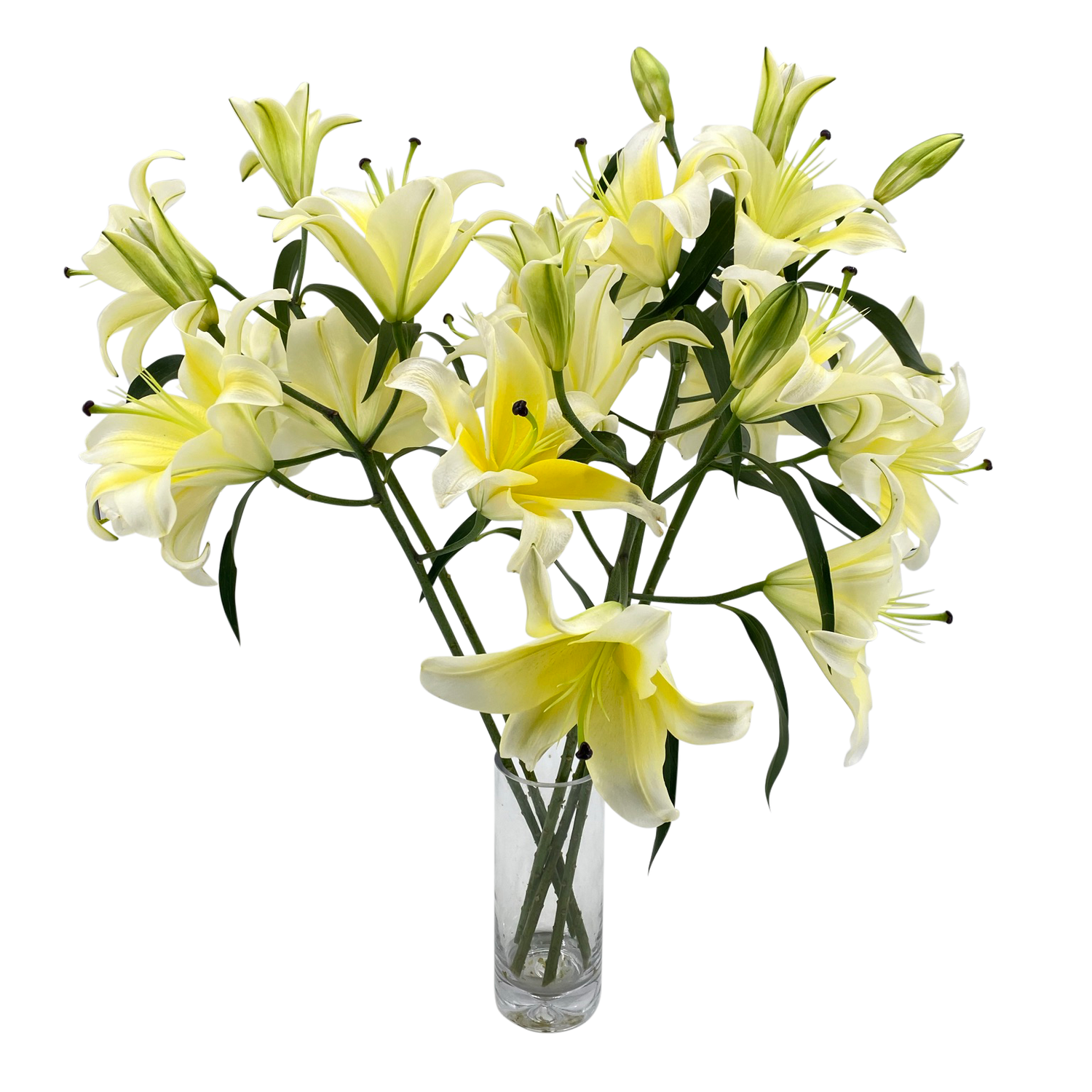 Li Ang Flowers Lily - Huang Tian Ba 4 heads | Fresh Flowers | Ji Mei Flower