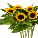 Sunflower (Vietnam)