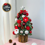 Joyful Juno - Fresh Mini Christmas Tree