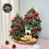 Merry Maple - Fresh Mini Christmas Tree