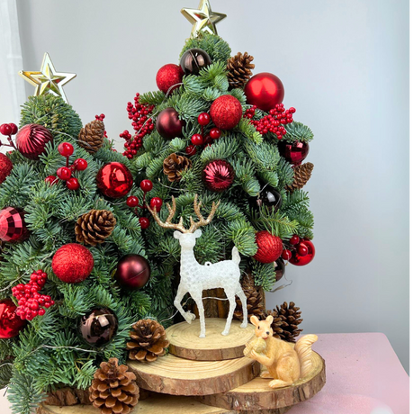 Merry Maple - Fresh Mini Christmas Tree