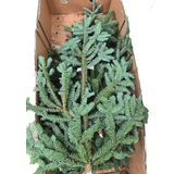 Nobilis Fir (Holland)  1kg