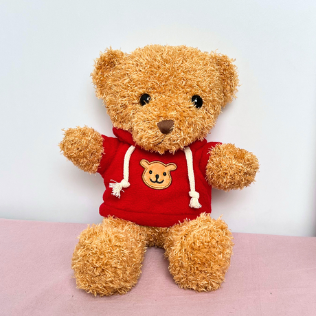 Plush Bear 30cm (Random Color)