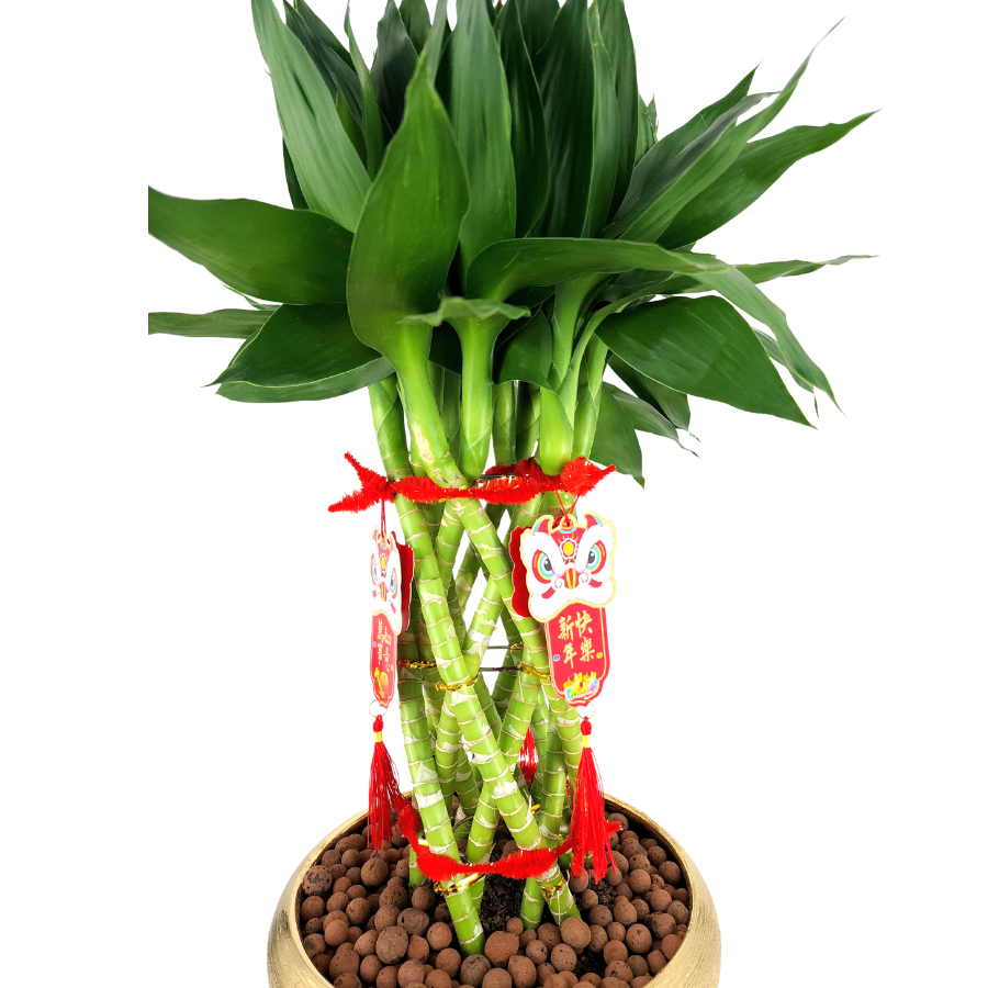 prosper-and-strength Chinese New Year Flower Arrangement Singapore