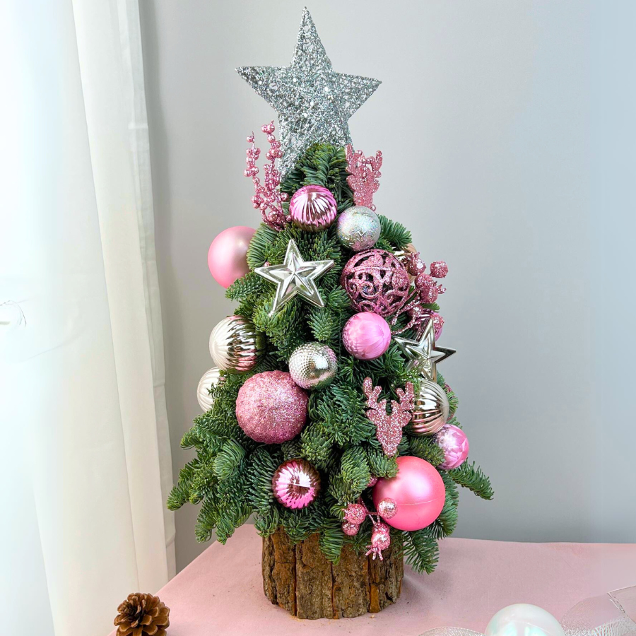 Strawberry Sparkle - Fresh Mini Christmas Tree