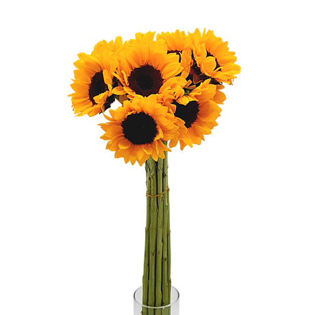 Sunflower (Taiwan)