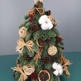 Woody Grove - Fresh Mini Christmas Tree