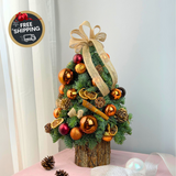 Yule Logger - Fresh Mini Christmas Tree