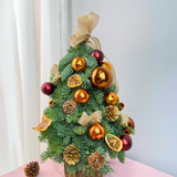 Yule Logger - Fresh Mini Christmas Tree